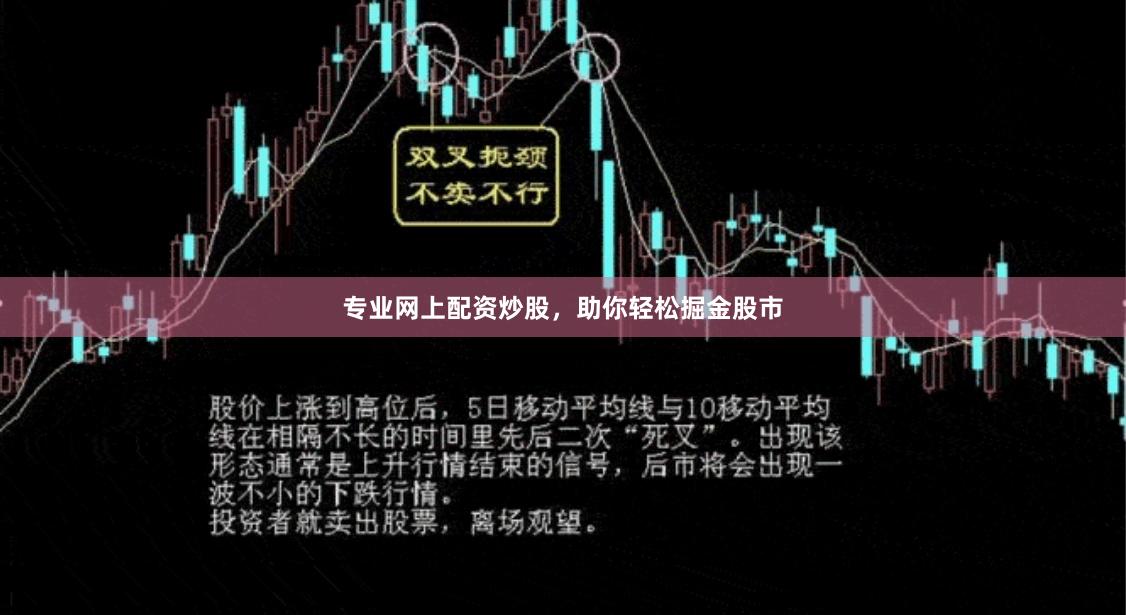 专业网上配资炒股，助你轻松掘金股市